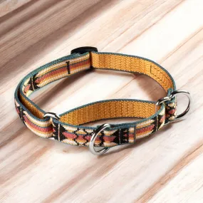 Classic Martingale Training Collar