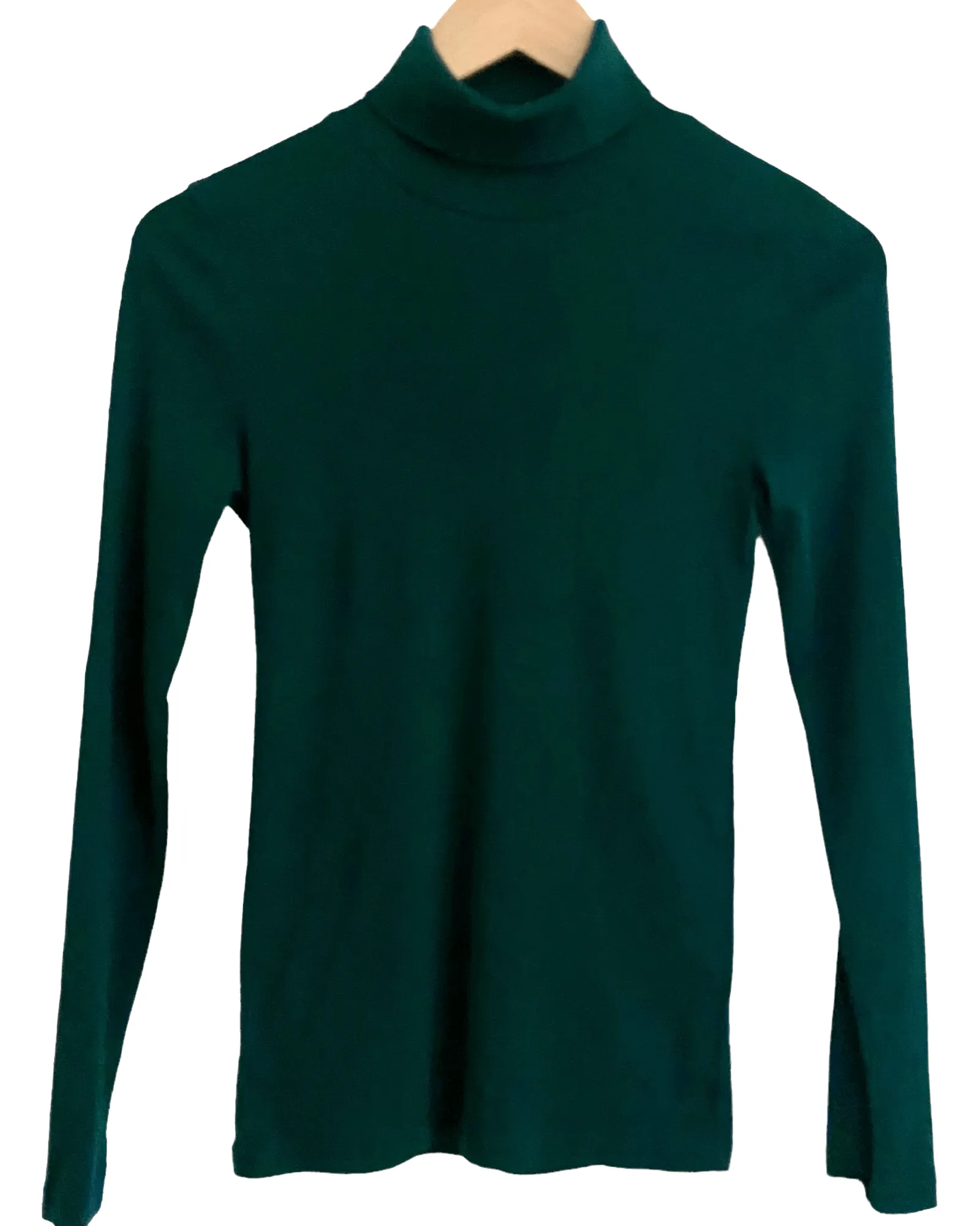 Dark Winter Alpine Green Basic Turtleneck