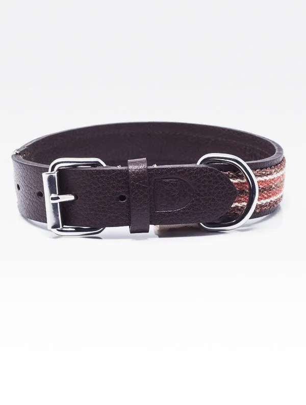 Dog Collar: Reforce Brown