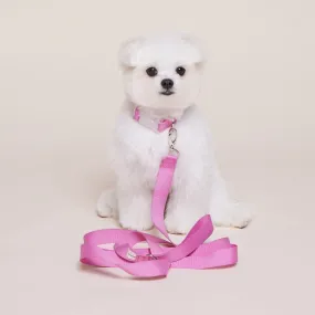 Makit Strawberry Pink Collar & Leash Set