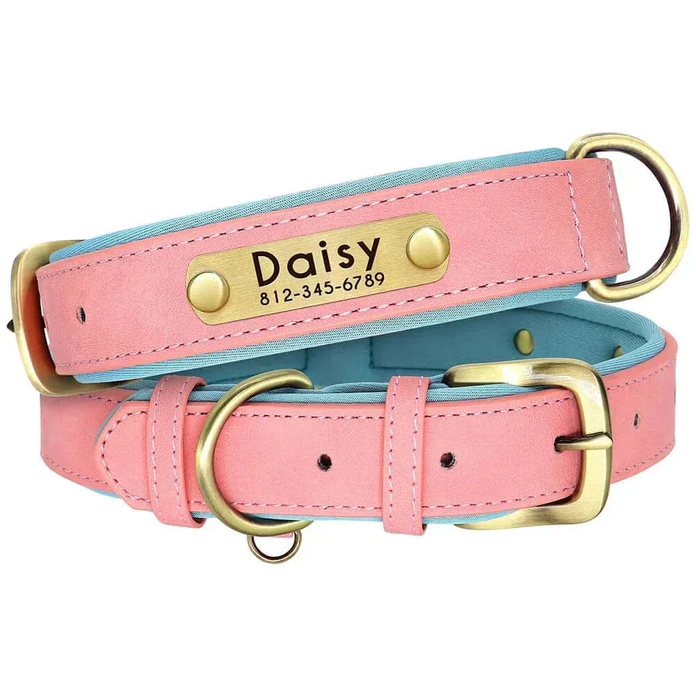 Personalized Dog Collar & Leash Set –  Leather Soft, Stylish, and Engraved