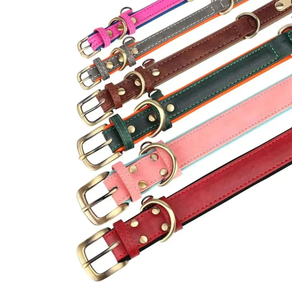 Personalized Dog Collar & Leash Set –  Leather Soft, Stylish, and Engraved