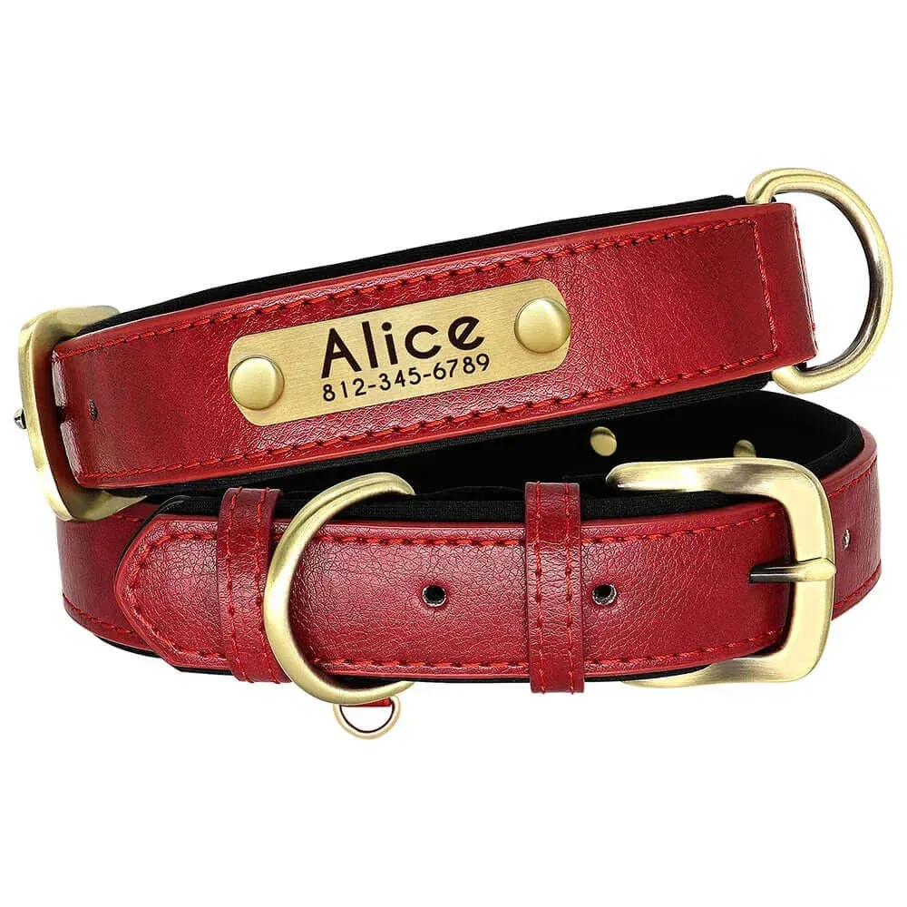 Personalized Dog Collar & Leash Set –  Leather Soft, Stylish, and Engraved