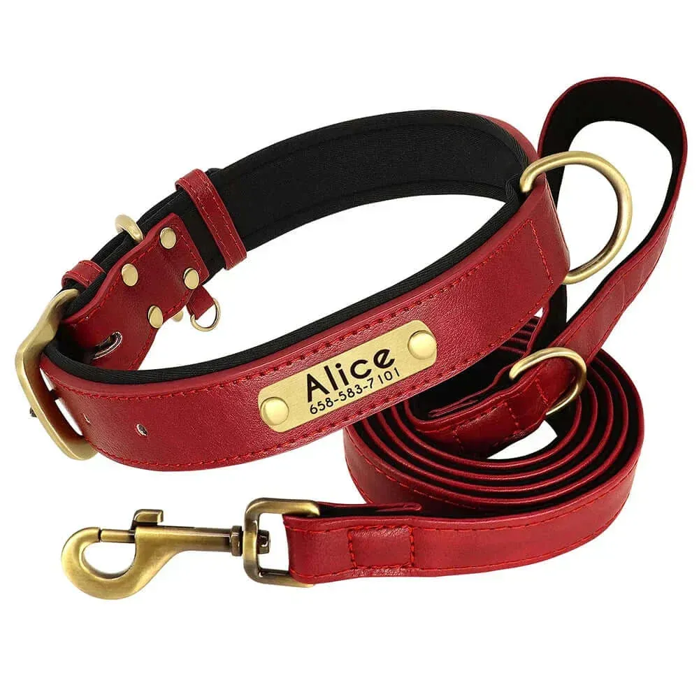 Personalized Dog Collar & Leash Set –  Leather Soft, Stylish, and Engraved