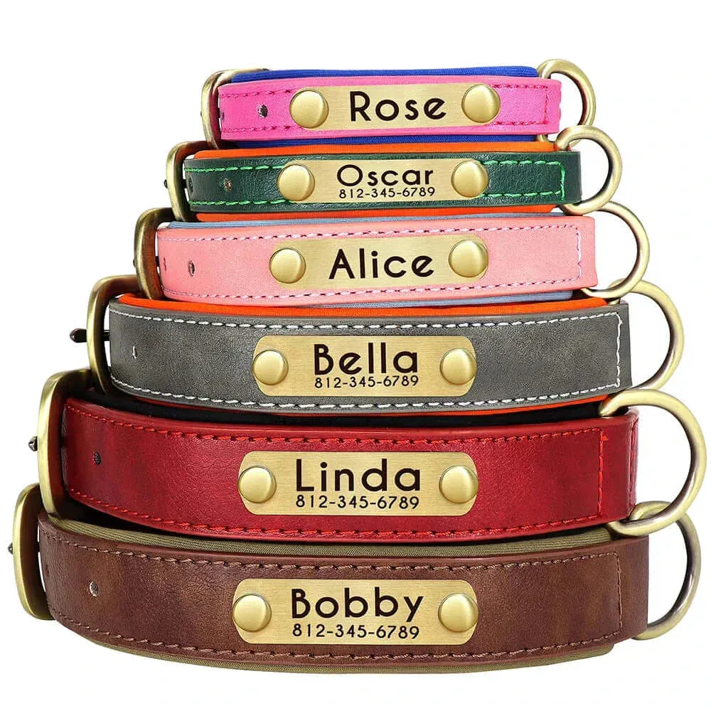 Personalized Dog Collar & Leash Set –  Leather Soft, Stylish, and Engraved