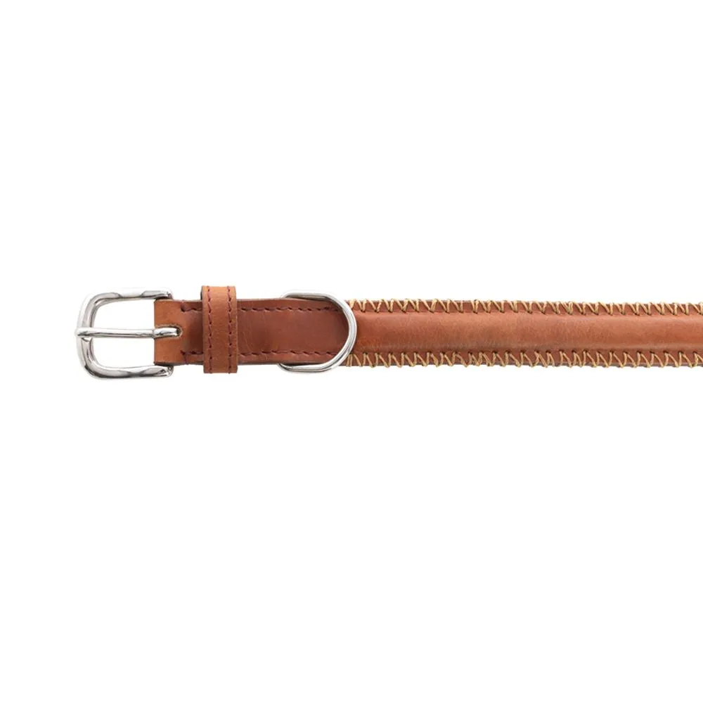 Rio Correr Dog Collar in Caramel