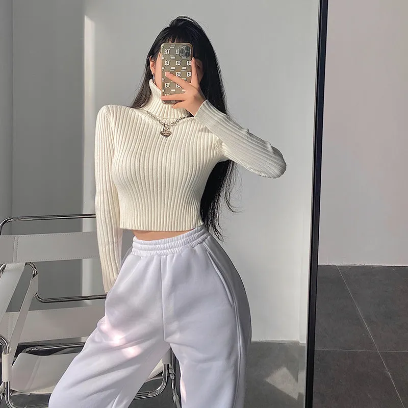 Tara Solid Color Ribbed Knitted Turtleneck Long Sleeve Cropped Top