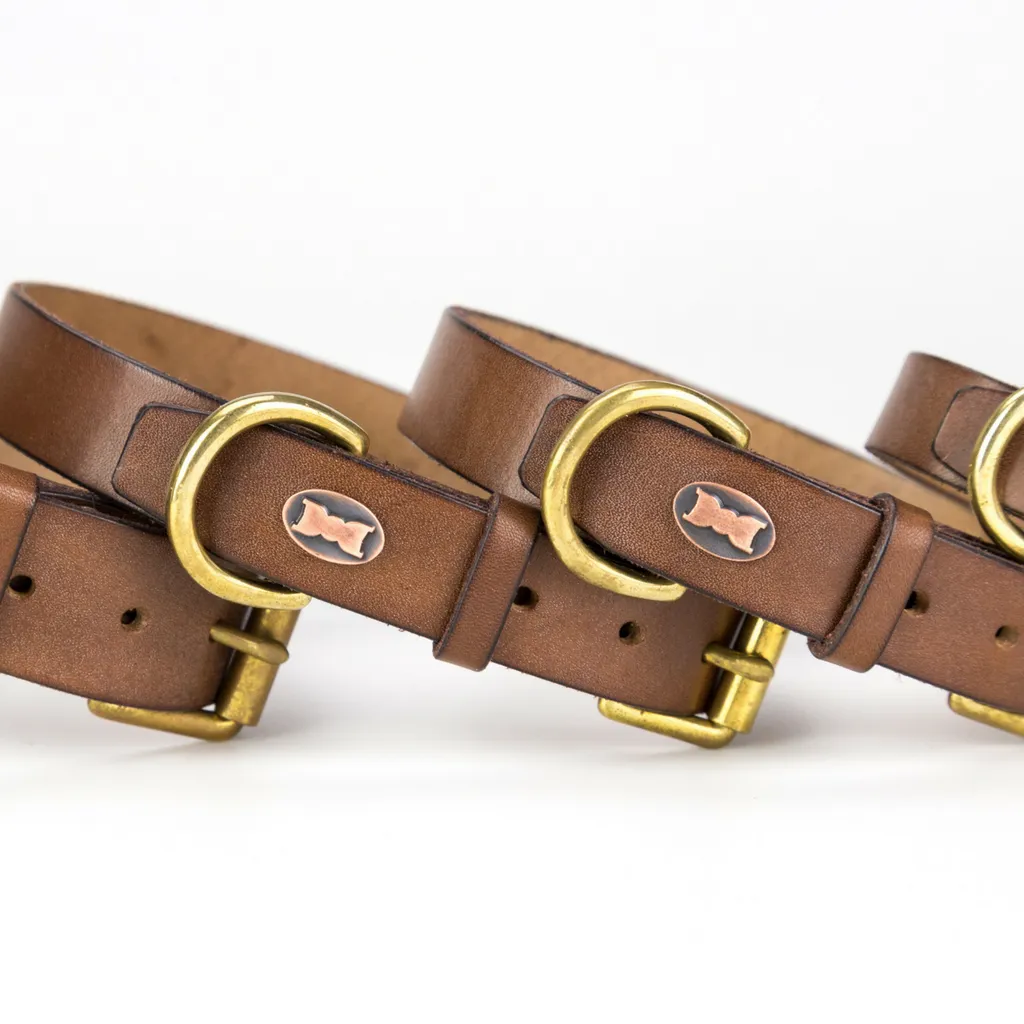 The Beddington Collar & Lead Set