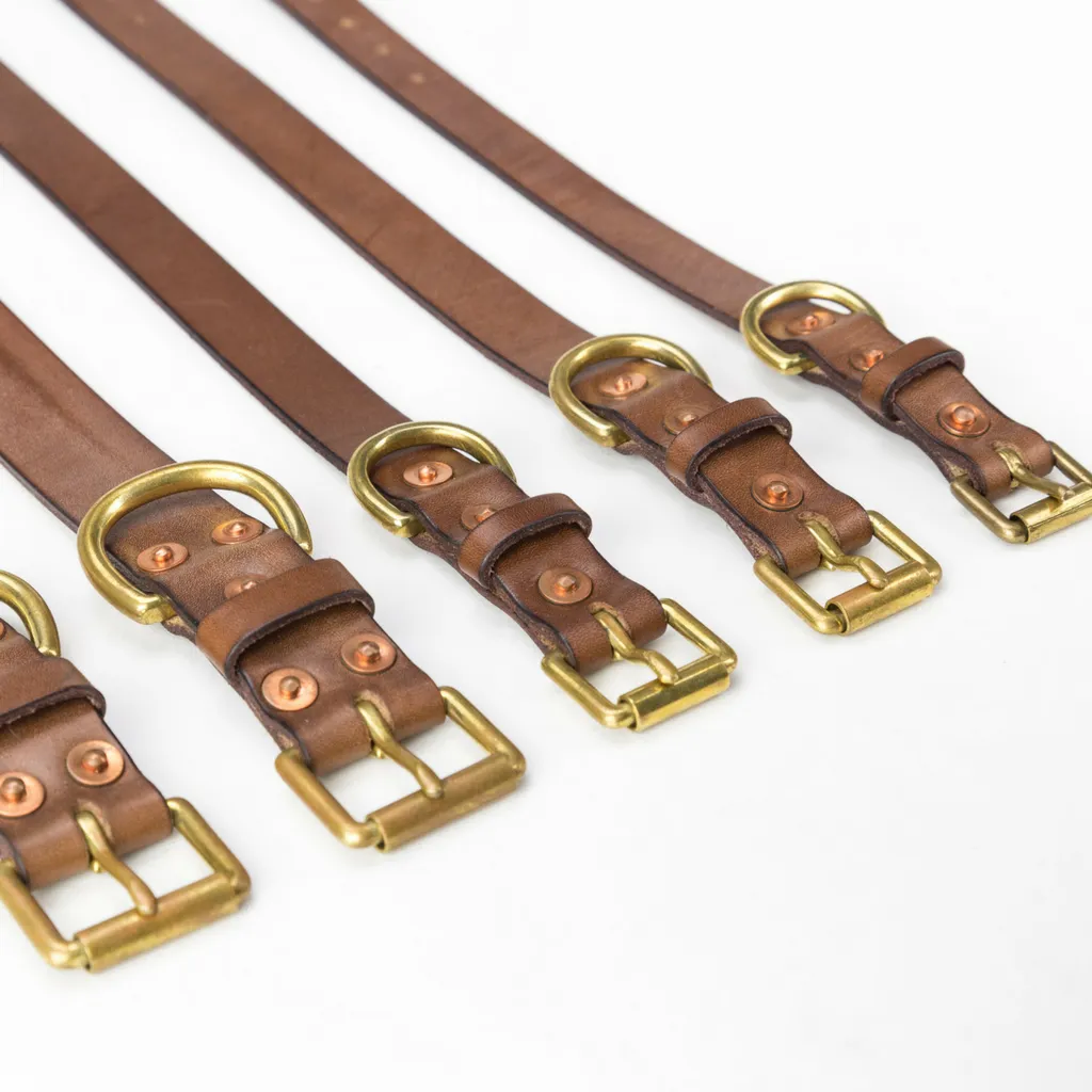 The Beddington Collar & Lead Set