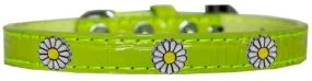 White Daisy Widget Croc Dog Collar Lime Green Size 14